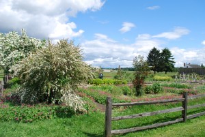 Beautiful Spring Day